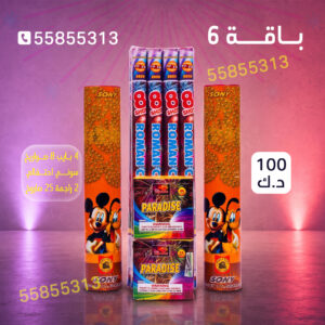 باقة 6 - متجر الألعاب النارية