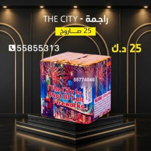 شراء راجمة The City في العاصمة