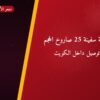 راجمة سفينة 25 صاروخ الحجم بسعر 40 د.ك — أفضل المناسبات والتوصيل