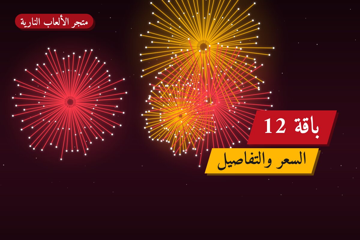 دليل باقة 12: كل ما تحتاج معرفته قبل الطلب