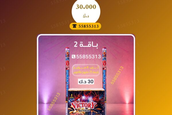 دليل باقة 2 — صورة المنتج