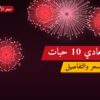صعادي 10 حبات: السعر والمواصفات الكاملة